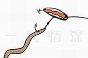 钓鱼时挂钩总是掉落怎么办？掌握这些小技巧轻松解决