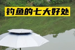 初春下雨钓鱼技巧有哪些？如何应对雨天钓鱼的挑战？