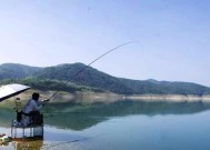河流肥水钓鱼技巧是什么？如何提高钓鱼成功率？