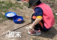 河里蚯蚓钓鱼技巧有哪些？如何提高蚯蚓钓鱼的成功率？