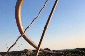 钓鳗鱼的技巧（河边钓鳗鱼全攻略）