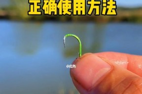 冬季玉米面钓鱼的方法与技巧（提升冬季钓鱼效果的绝佳选择）