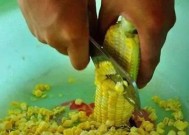 冷门技巧大揭秘，让你成为钓鱼高手！（掌握这些技巧，捕获鱼群从此易如反掌！）
