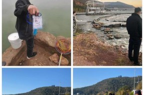 如何选择最佳钓鱼摊位？掌握这些技巧轻松找到好位置！