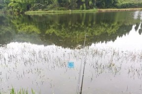 秋季垂钓经验技巧总结（享受秋日的钓鱼乐趣）