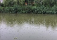 钓鱼野钓打窝技巧（钓鱼高手分享的成功方法与技巧）