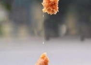 山间溪流飞蝇钓鱼技巧（掌握技巧）