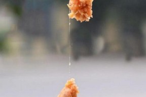 山间溪流飞蝇钓鱼技巧（掌握技巧）