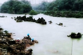 河里下雨钓鱼方法与技巧是什么？如何提高雨天钓鱼的成功率？