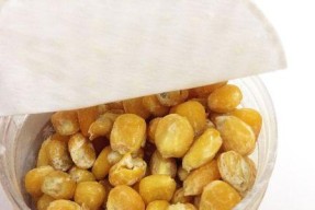 如何使用玉米粒作为钓鱼饵料？玉米粒钓鱼技巧有哪些常见问题？