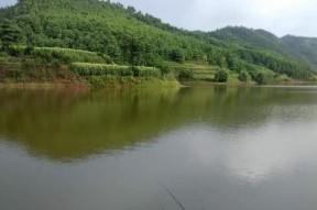 私有水库钓鱼技巧（掌握钓鱼技巧）