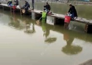 河塘钓鱼打窝技巧是什么？如何正确使用打窝技巧提高钓鱼效率？