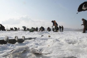 冬天肥水坑钓鱼技巧（寒冬中寻找温暖的捕食地）