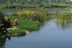 秋季钓鱼（一起探索秋季钓鱼的黄金技巧）