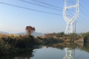新野塘钓鱼技巧解析（掌握新野塘钓鱼的窍门）