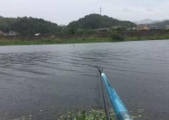 河流野钓如何选择最佳钓点？有哪些技巧可以提高钓鱼成功率？