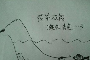 夏天夜钓鲤鱼用筏竿有哪些技巧？如何提高钓鲤鱼的成功率？