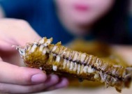 蜂巢幼虫钓鱼技巧是什么？如何有效使用？