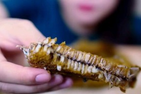 蜂巢幼虫钓鱼技巧是什么？如何有效使用？
