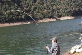 阴天混水钓鱼的技巧与策略（灵活应对变幻无常的水情）