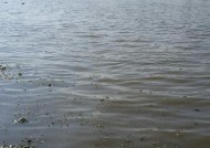 防走水钓鱼技巧有哪些？如何有效防止鱼钩走水？