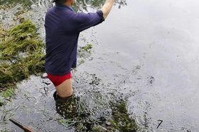 如何掌握钓鱼钓水草的技巧？常见问题有哪些？