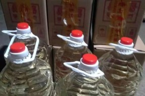 玉米酒钓鱼的秘籍（掌握技巧）