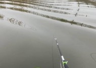 河流钓鱼走水调漂技巧是什么？如何应对走水情况？