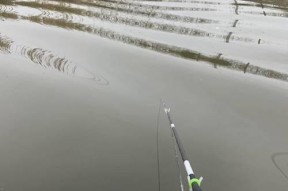 河流钓鱼走水调漂技巧是什么？如何应对走水情况？
