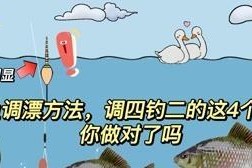 四钓二教程——钓鱼调漂技巧详解（掌握这些技巧，成为高级钓手）