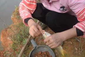 以筏竿台钓子线钓鱼技巧大揭秘（钓鱼高手传授的实用技巧）