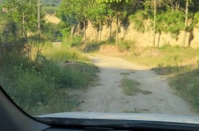 定江山钓鱼技巧有哪些？如何快速掌握钓鱼技巧？
