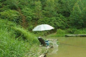 肥水塘钓鱼技巧有哪些？如何提高钓鱼成功率？