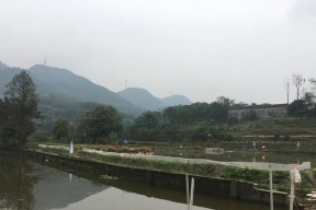 雨前小鱼塘钓鱼技巧（优化你的钓鱼经验）
