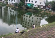 荷叶塘下雨钓鱼技巧是什么？如何应对雨天钓鱼的挑战？