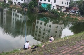 荷叶塘下雨钓鱼技巧是什么？如何应对雨天钓鱼的挑战？