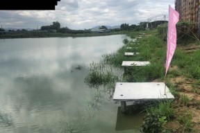 冬天室内小鱼池钓鱼技巧（掌握室内钓鱼技巧）