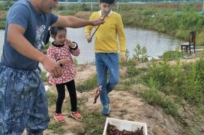 俄罗斯农场野钓技巧有哪些？如何提高野钓成功率？