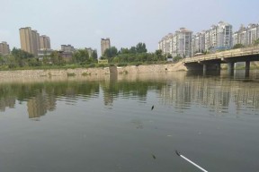 河里有流水野钓技巧是什么？如何提高野钓成功率？