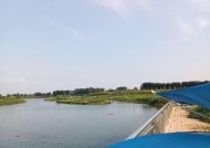 河流橡胶坝钓鱼技巧有哪些？如何应对不同水位变化？