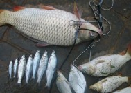 翻板流水钓鱼技巧有哪些？如何提高钓获率？
