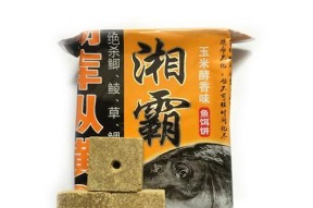 方块糠饼钓鱼技巧有哪些？如何提高钓鱼成功率？