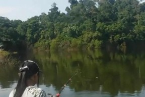 放生钓鱼的最佳方法和技巧是什么？如何提高钓鱼成功率？