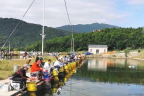 手杆钓鱼漂技巧（掌握钓鱼漂技巧）