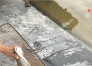 东涌边钓鱼技巧有哪些？如何提高钓鱼成功率？