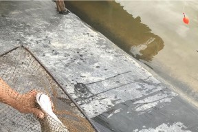 东涌边钓鱼技巧有哪些？如何提高钓鱼成功率？