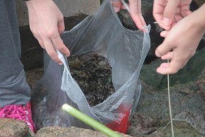 河蟹钓鱼技巧教程？如何提高河蟹钓鱼的成功率？