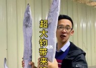 东山岛钓鱼技巧有哪些？如何提高钓鱼成功率？