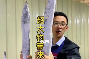 东山岛钓鱼技巧有哪些？如何提高钓鱼成功率？