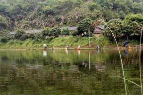 门前小水塘钓鱼技巧（提高钓鱼成功率的实用技巧）